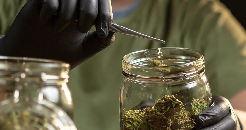 Where to Buy Weed Online in Canada: A Beginner's Guide
