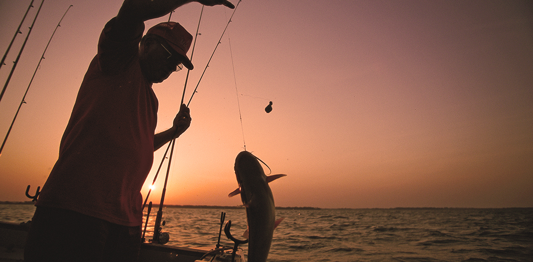 Top Catfishing Equipment You Need