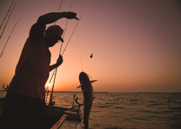 Top Catfishing Equipment You Need