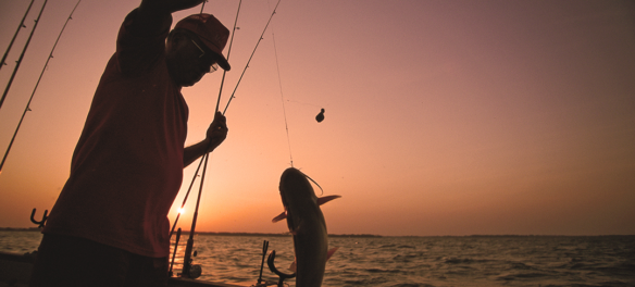 Top Catfishing Equipment You Need