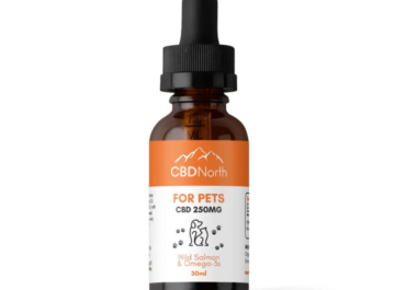 How do you use CBD oil for managing chronic illnesses?