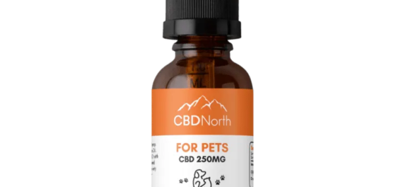 How do you use CBD oil for managing chronic illnesses?