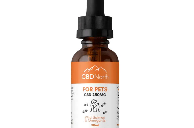 How do you use CBD oil for managing chronic illnesses?
