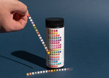 Reliable Water Test Kits for Homeowners, Schools, and Businesses Concerned About Water Quality