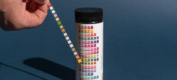 Reliable Water Test Kits for Homeowners, Schools, and Businesses Concerned About Water Quality