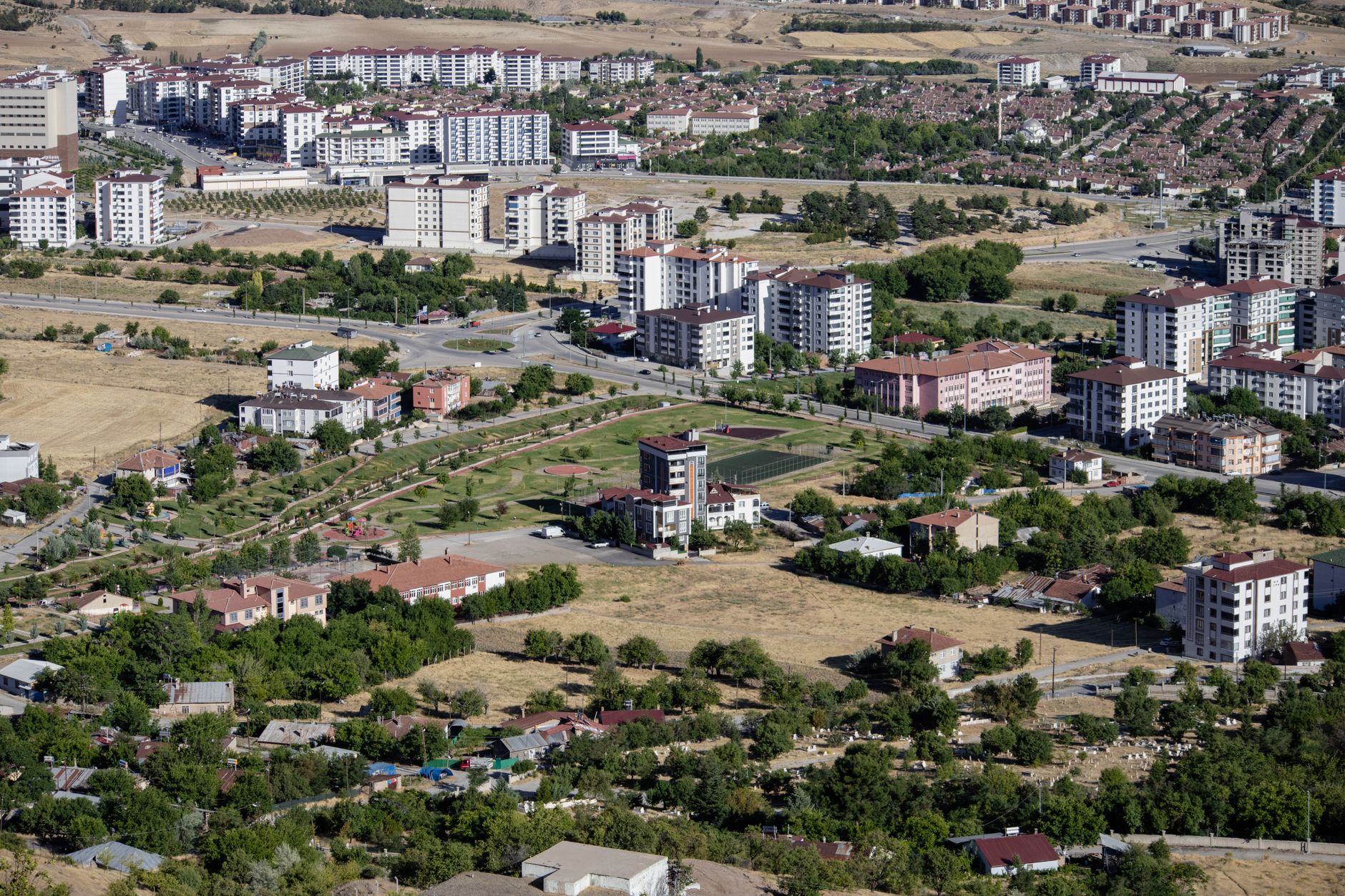 Aerial cityscape of Elâzığ, Türkiye showcasing apartments and greenery in summer. — Benefits of Vitamin C for Dogs